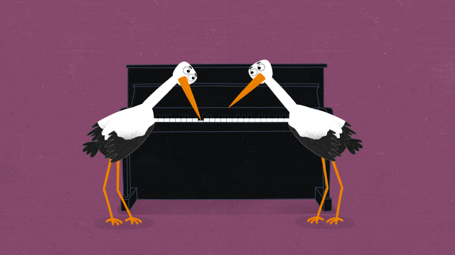 Klavier-störche